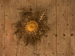 Decoration